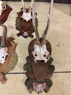 Jachttrofee, Verzamelen, Nieuw