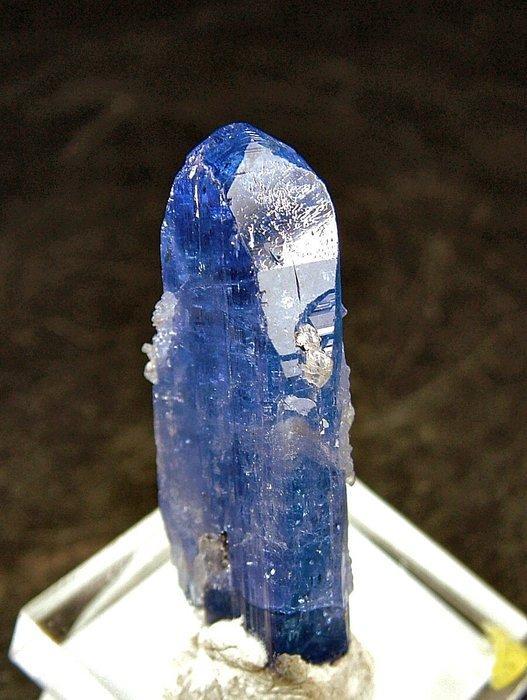 CW1488 Coloratissima Tanzanite Kristal - Hoogte: 36 mm -, Collections, Minéraux & Fossiles