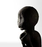 Fetishbeeldhouwwerk gbekré - Baule - Ivoorkust