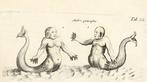 Junston - Theatrum Universale Omnium Animalium Piscium,