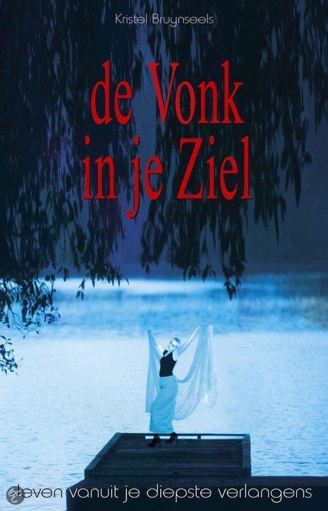 De vonk in je ziel 9789055991396 K. Bruynseels, Boeken, Psychologie, Gelezen, Verzenden