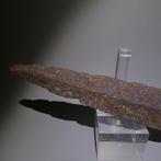 Oud-Romeins IJzer Speerhoof 35,6 cm H. Fijn., Verzamelen