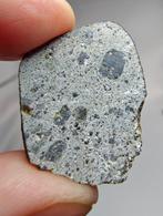Meteoriet Gourara 004. HED, Eucriet - 4.66 g - (1), Verzamelen, Mineralen en Fossielen