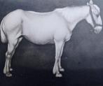 Jan Mankes (1889-1920), after - Paard staand naar rechts, Antiek en Kunst