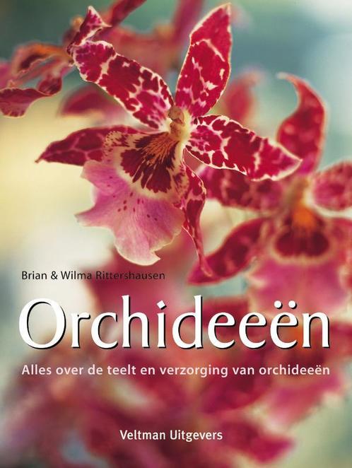 Orchideeën 9789059208612 B. Rittershausen, Boeken, Hobby en Vrije tijd, Gelezen, Verzenden