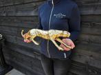 Beeld, XL Panther Statue 52cm - 12.5 cm - Metaal - 2026, Antiek en Kunst