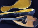 Suzuki violin CO LTD - Model No. M-218 - - Mandoline - Japon, Musique & Instruments