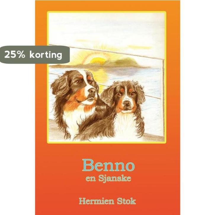 Benno en Sjanske 9789491670176 Hermien Stok, Boeken, Kinderboeken | Baby's en Peuters, Gelezen, Verzenden