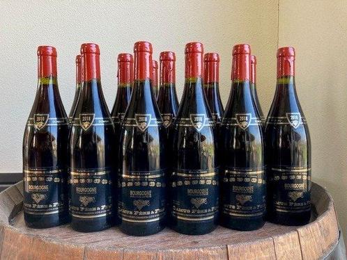 2019 Bourgogne Rouge - Domaine Camus - Bourgogne - 12, Verzamelen, Wijnen