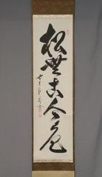 Il n’y a aucune couleur de pin ni dans le passé ni dans le