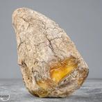 Grand Ambre Naturel Doré, non traité- 449.68 g, Nieuw