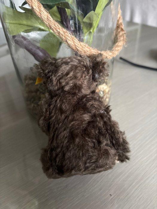 Steiff - Teddybeer Teddy - Duitsland, Antiek en Kunst, Antiek | Speelgoed