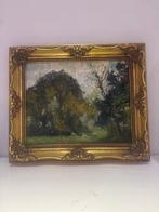 Gustaaf van Loon (1912-1980) - Landscape, Antiek en Kunst