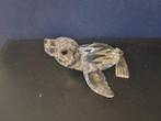 Swarovski - Figurine - Sea Lion baby - 221120 - Box +