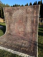 Indo Bidjar - Tapijt - 370 cm - 255 cm, Nieuw