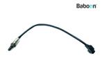 Lambda Sonde Royal Enfield Shotgun 650 2024-, Motoren, Verzenden, Gebruikt