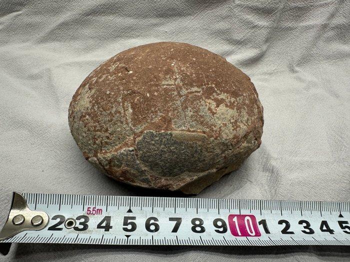 Dinosaurus - Fossiele matrix - Hadrosaurus or, Verzamelen, Mineralen en Fossielen