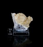 Verzameling van 8 calcietmonsters uit de La Sambre-mijn,, Verzamelen