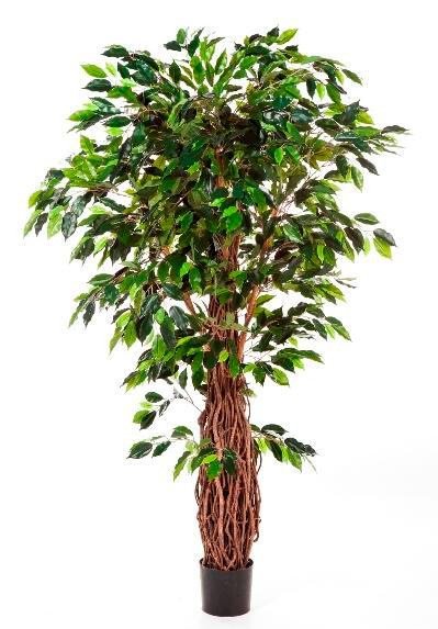 Kunstplant Ficus Liana Deluxe 180 cm, Maison & Meubles, Plantes d'intérieur, Envoi