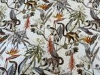 Jungle des Lémuriens : une aventure botanique entre branches