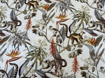 Jungle des Lémuriens : une aventure botanique entre branches