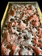 Relief en bois ajouré chinois, dragon et phénix – bois doré, Antiquités & Art