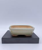 Pot à bonsaï émaillé – signé Xiùshì Zhpén  – Chine –, Antiek en Kunst