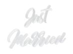 Strijk Embleem Just Married 30cm, Verzenden, Nieuw