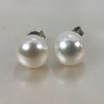 Zonder minimumprijs - Oorbellen Zilver Parel - Southsea, Nieuw