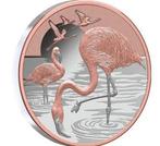 Niue. 1 Dollar 2025 – Flamingos – 1 oz Silver .999 – Proof –
