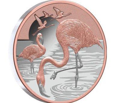 Niue. 1 Dollar 2025 – Flamingos – 1 oz Silver .999 – Proof –, Postzegels en Munten, Munten | Europa | Niet-Euromunten