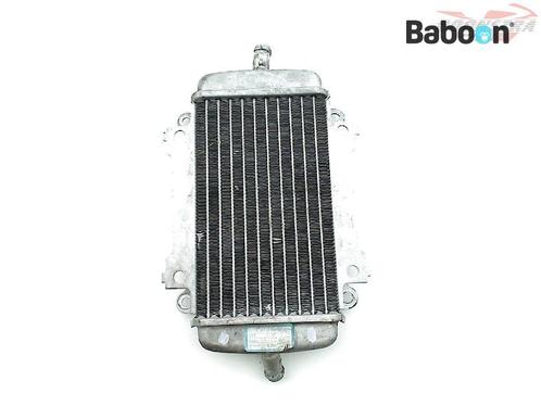 Radiateur Piaggio | Vespa GTV 300 4T 4V Ie 2009-2017, Motos, Pièces | Autre, Envoi