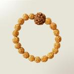 Rudraksa armband elastisch met 20 kraaltjes en 1 grote kraal, Sport en Fitness, Ophalen of Verzenden, Nieuw