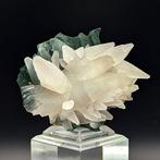 CALCITEN van KOPERSUITS, Sterke UV-ROOD Kristallen op matrix, Verzamelen