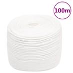 vidaXL Boottouw 10 mm 100 m polypropyleen volwit, Verzenden, Nieuw