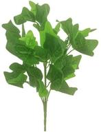 Hedera bundel Ivybush Groen 32 cm klimop per stuk, Nieuw