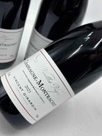 2021 Vincent Girardin Les Vielles Vignes (red) -, Nieuw