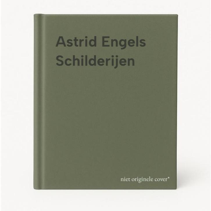 Astrid Engels Schilderijen 9789072285126, Boeken, Kunst en Cultuur | Beeldend, Gelezen, Verzenden