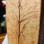 Vallauris - Raymonde Leduc - Pot de fleurs - Céramique