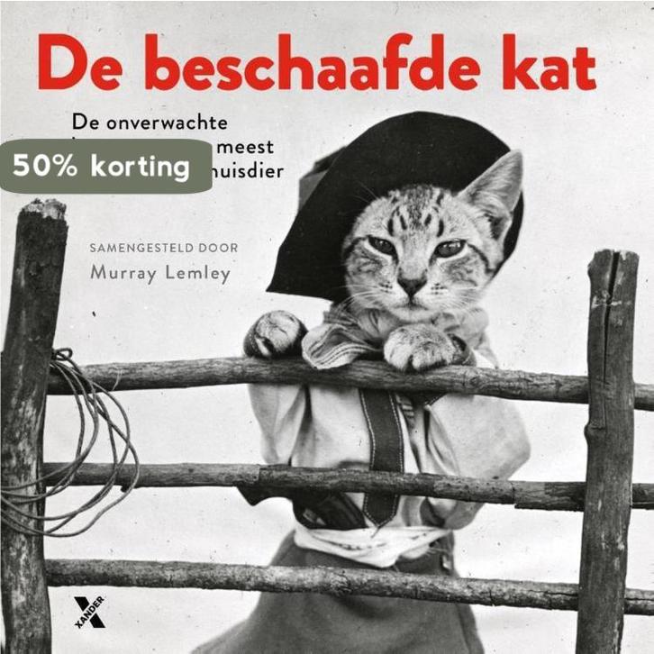 De beschaafde kat 9789401606400 Murray Lemley, Boeken, Romans, Gelezen, Verzenden