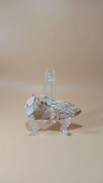 Neolithisch Vuursteen bifaciaal werktuig / mes (Zonder, Verzamelen