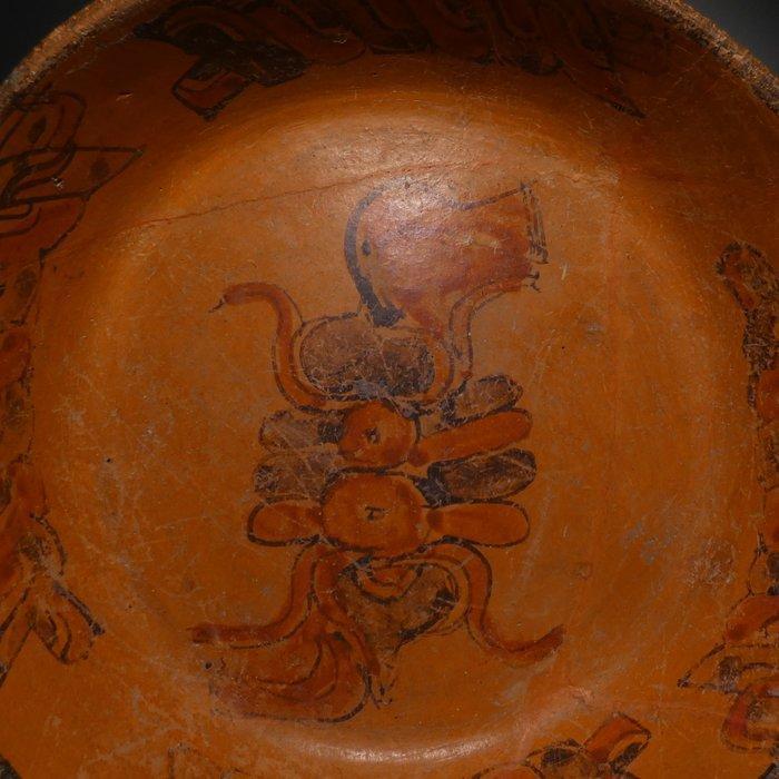 Maya, Terracotta Schep met glyphs. 24 cm doorsnede. 600 -, Verzamelen, Mineralen en Fossielen