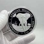 Somalië. 100 Shillings 2025 – 5 oz African Wildlife –, Postzegels en Munten