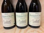2022 Domaine Remi Jobard Vieilles Vignes - Bourgogne Cote, Collections