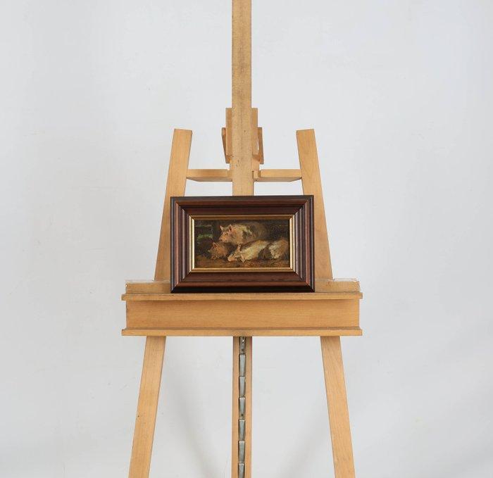 Willem Hendrik van der Nat (1864–1929) - Varkens, Antiquités & Art, Art | Peinture | Classique