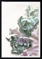 Bernd Lieven - Tulips No.I