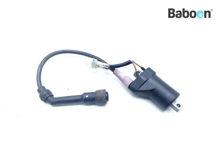 Bobine Royal Enfield Interceptor 650 2018-2021 Left, Motoren, Onderdelen | Overige, Verzenden