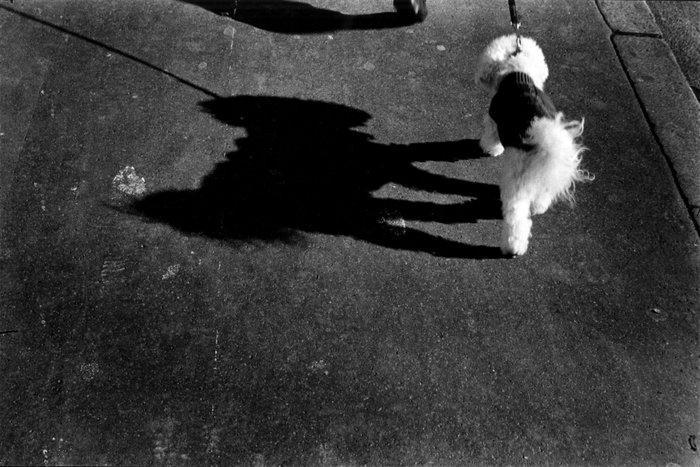 JM SIMOES - Walk on the walkside, Antiek en Kunst, Kunst | Designobjecten