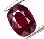 Robijn - 2.57 ct - Lotus Gemology - Rood Rijk (Mozambique), Nieuw