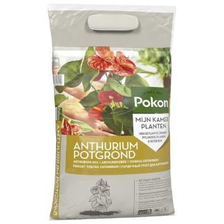 Anthurium potgrond | Pokon | 5 liter, Tuin en Terras, Aarde en Mest, Verzenden